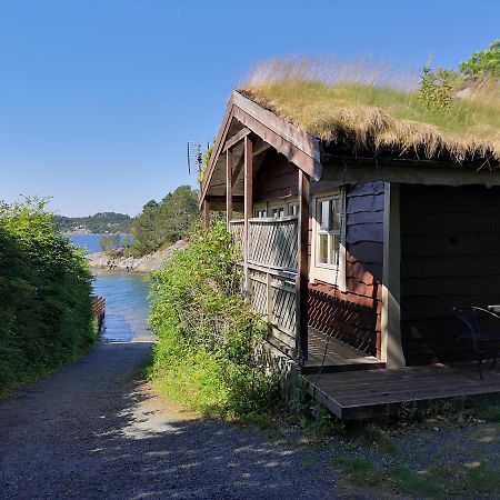 Fanafjorden Cabins Bergen Kültér fotó